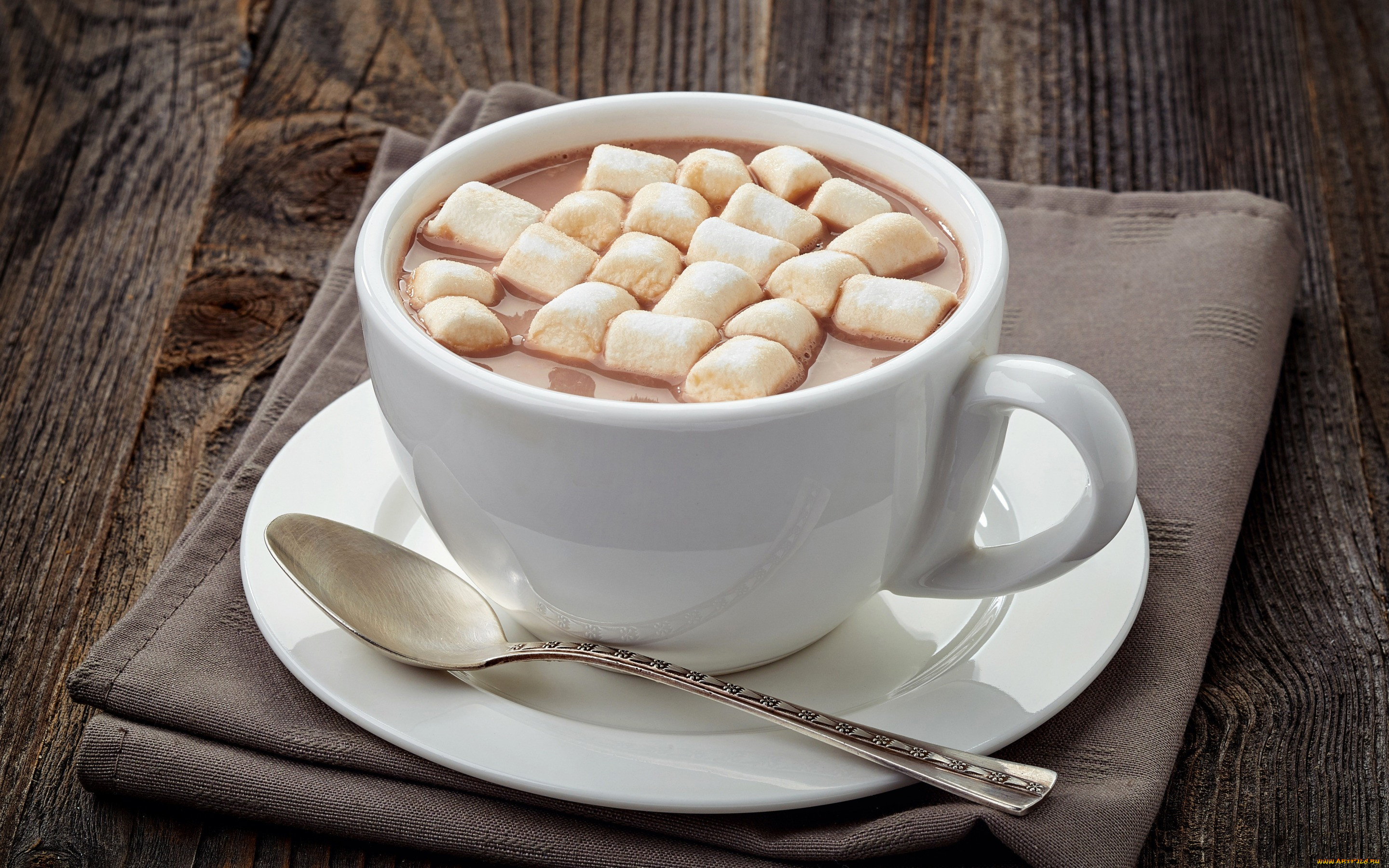 , ,   , , , marshmallow, , hot, chocolate, cup, 